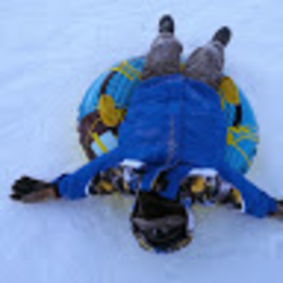 Meet your Posher, Flatria - Picture 1 of 1